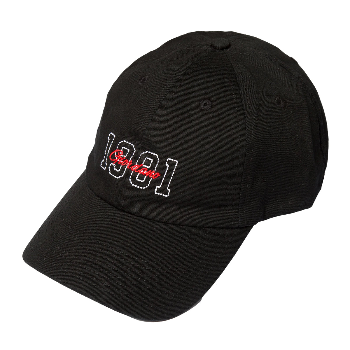 Embroidery 1981 Cap