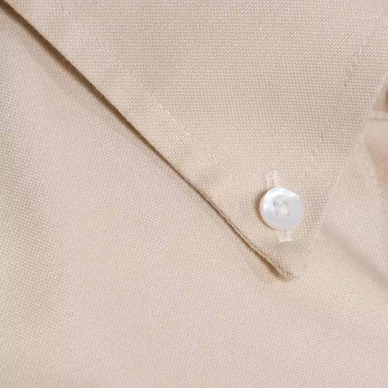 Wrinkle Free Shirt (CL)