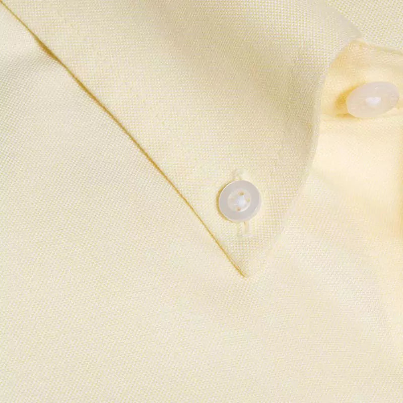 Wrinkle Free Shirt (CL)