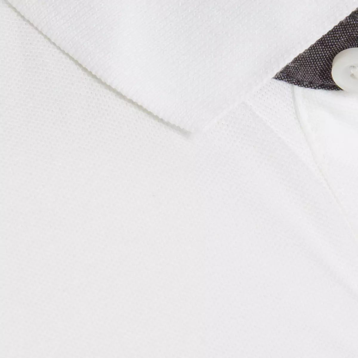 AntiMicrobial Small Napoleon Polo (CL)